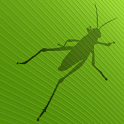 e+i grasshopper workshop